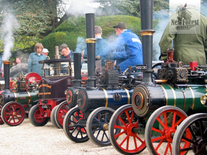 Miniature traction engines at Exbury