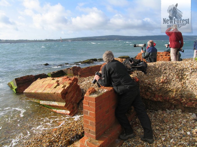 Photographers at Hurst