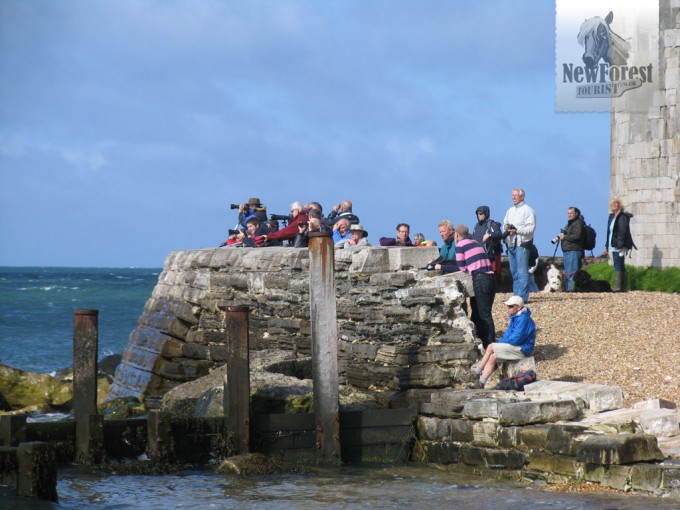 Hurst Castle Spectators