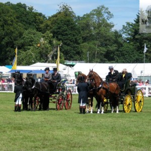 The New Forest Show, New Park