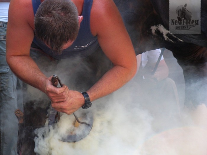 The heavy horse farriers replacing some very large shoes